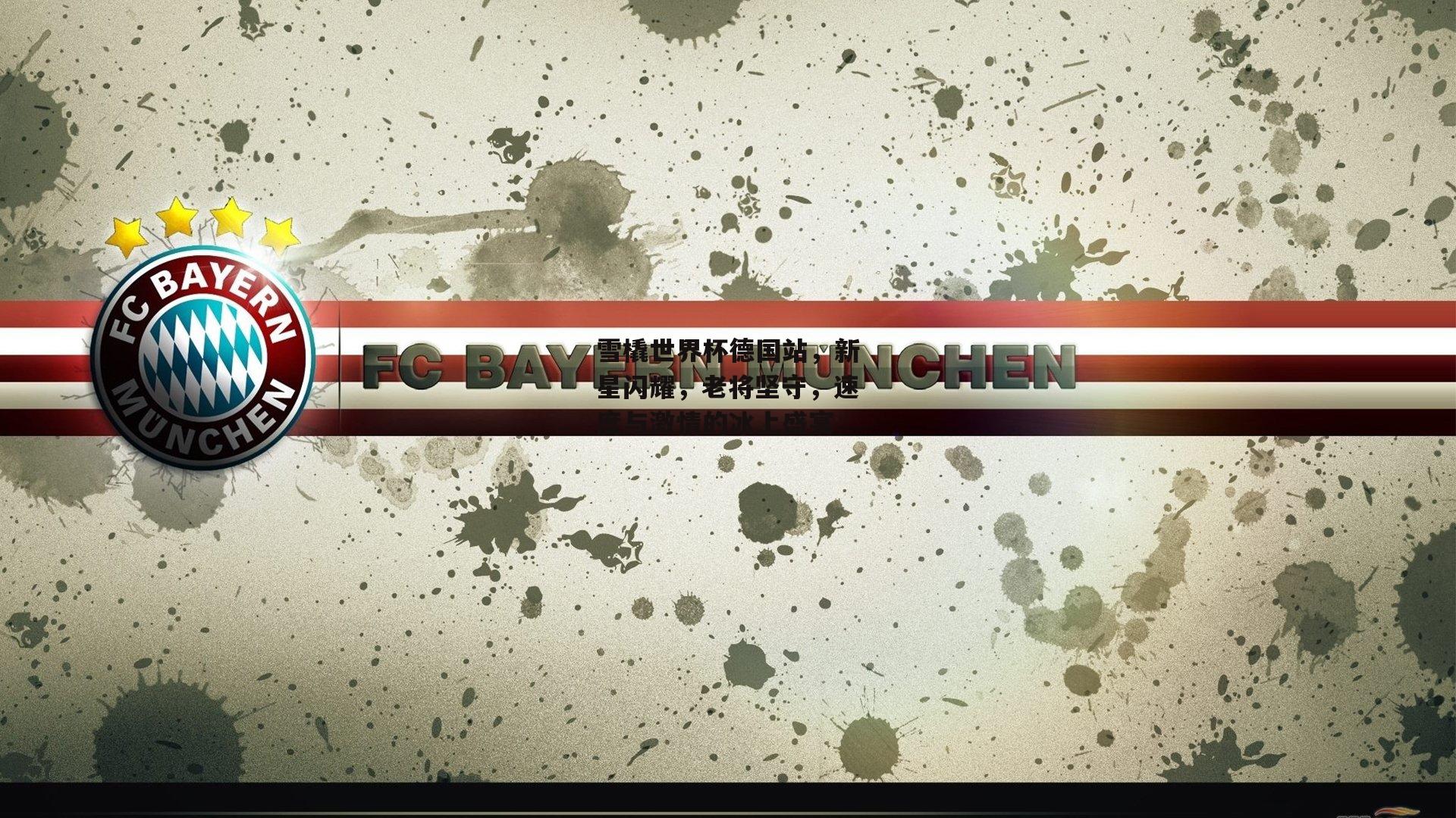 雪橇世界杯德国站,新星闪耀,老将坚守,速度与激情的冰上盛宴