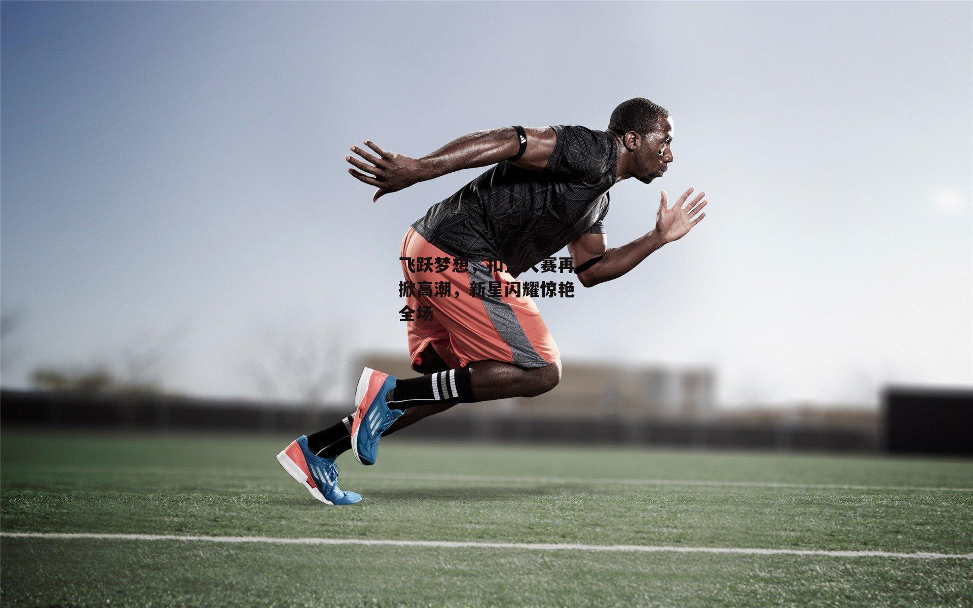 飞跃梦想<a href=